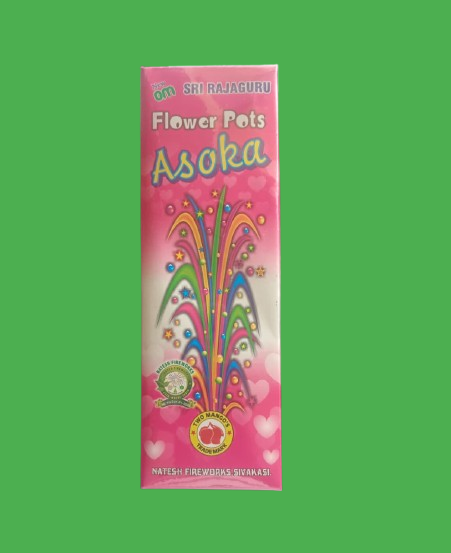 FLOWER POTS ASOKA